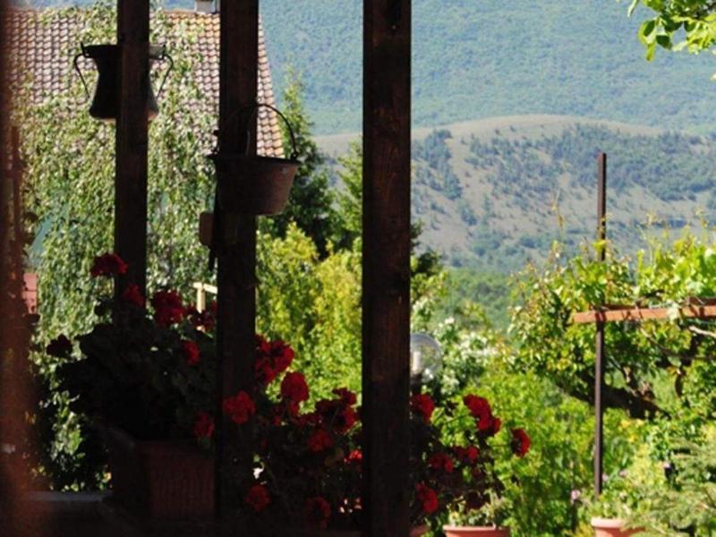 Country House Al Faraone - Genel