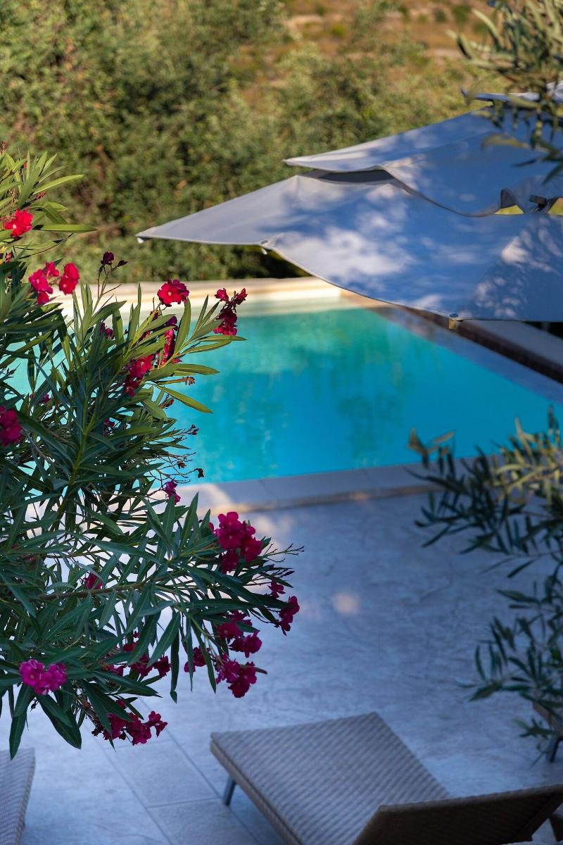 Tenuta Olive Alive - Aktivite