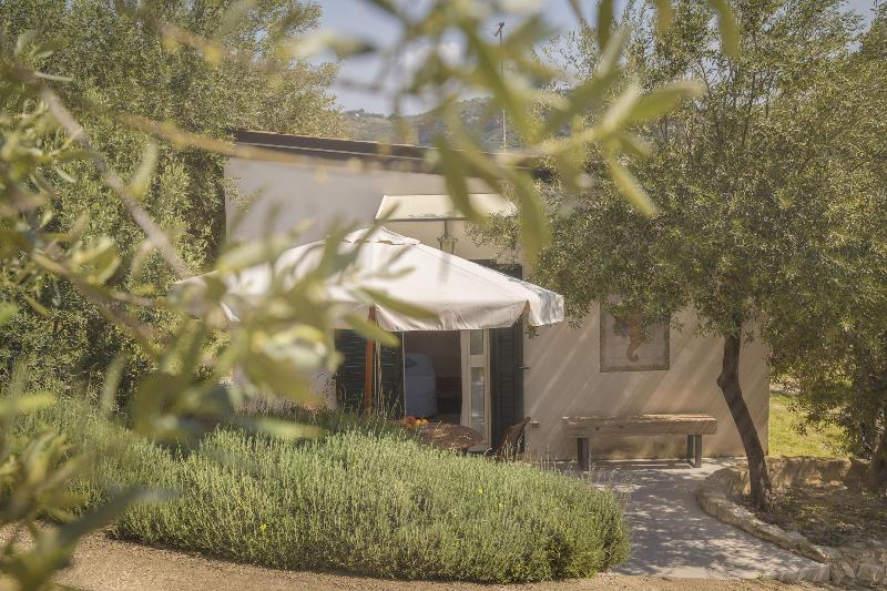 Tenuta Olive Alive - Oda