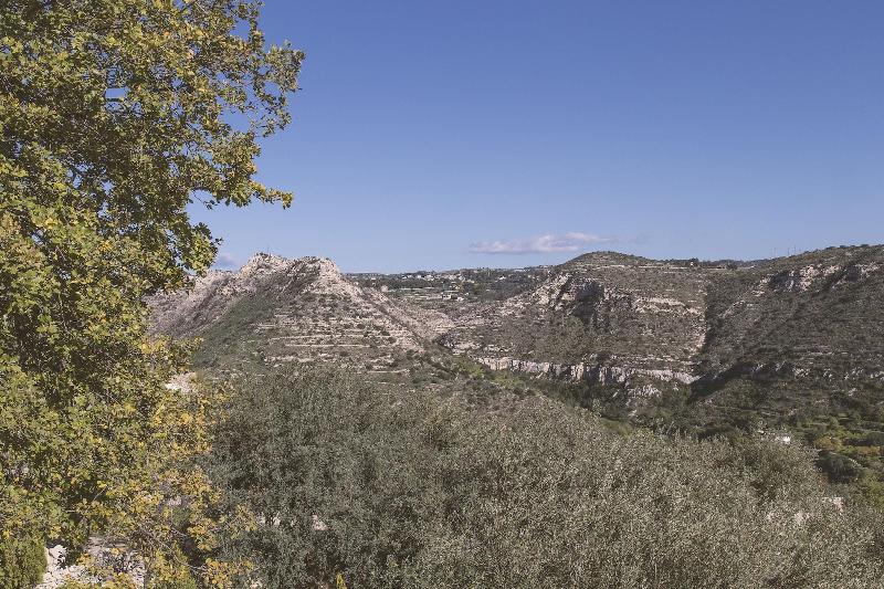 Tenuta Olive Alive - Oda