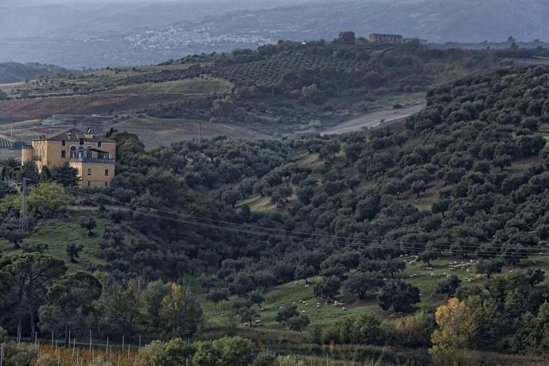 Castello Di Serragiumenta - Genel