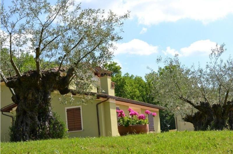 Valle Rosa Country House - Genel
