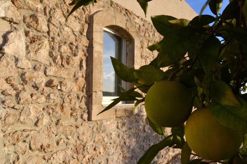 Scilla Maris Charming Suites-Restaurant - Genel