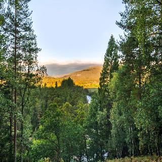 Hilton Grand Vacations Club Craigendarroch Suites fotoÄŸrafÄ±