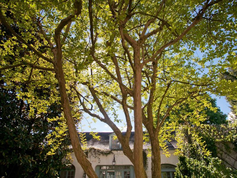 La Maison Jules - Genel