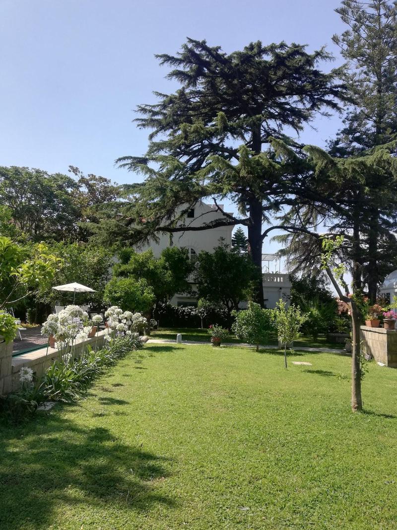 Villa Manning Relais - Genel