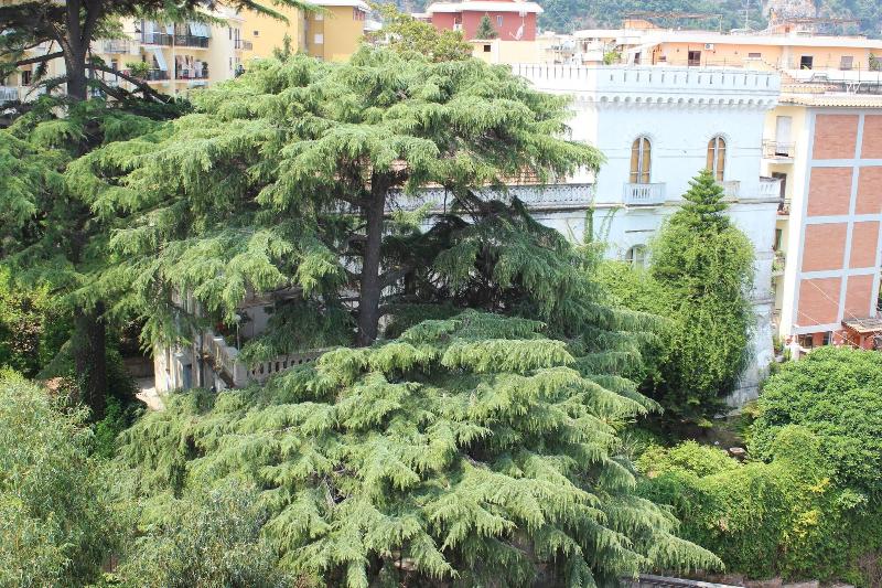 Villa Manning Relais - Genel