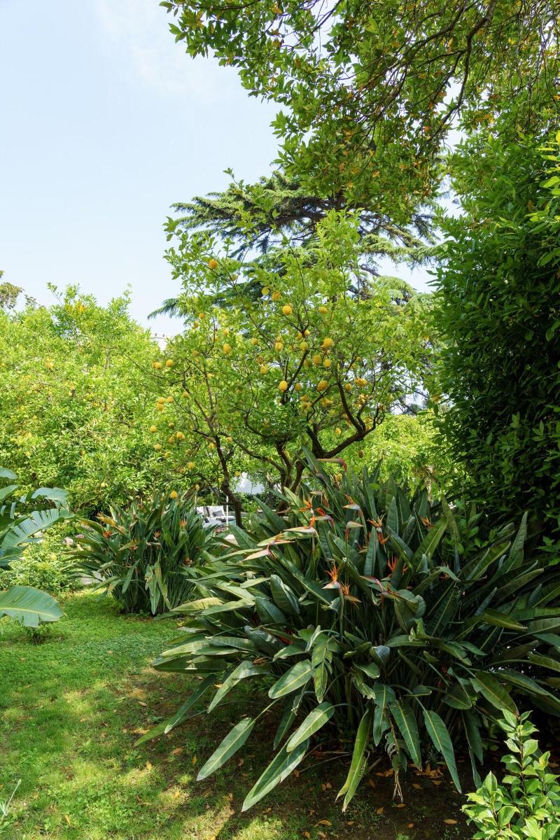 Villa Manning Relais - Genel