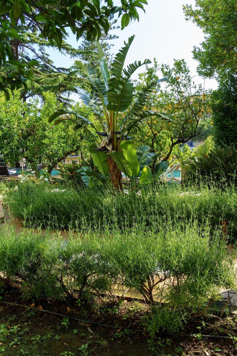 Villa Manning Relais - Genel