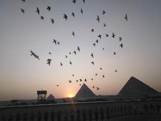 Queen Pyramids View Inn fotoÄŸrafÄ±