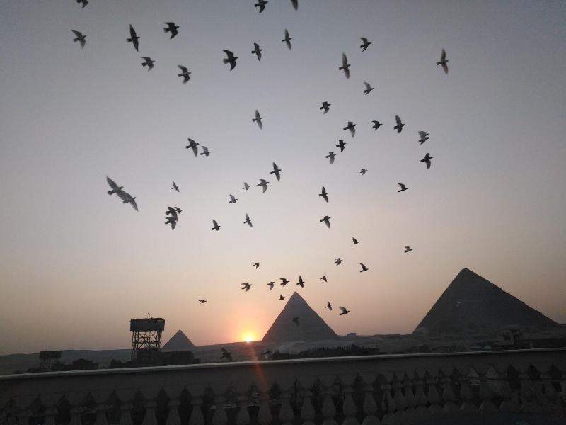 Queen Pyramids View Inn - Genel