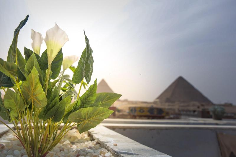 Queen Pyramids View Inn - Teras