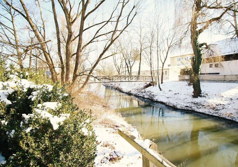 Pension Haus Am Bach - Genel
