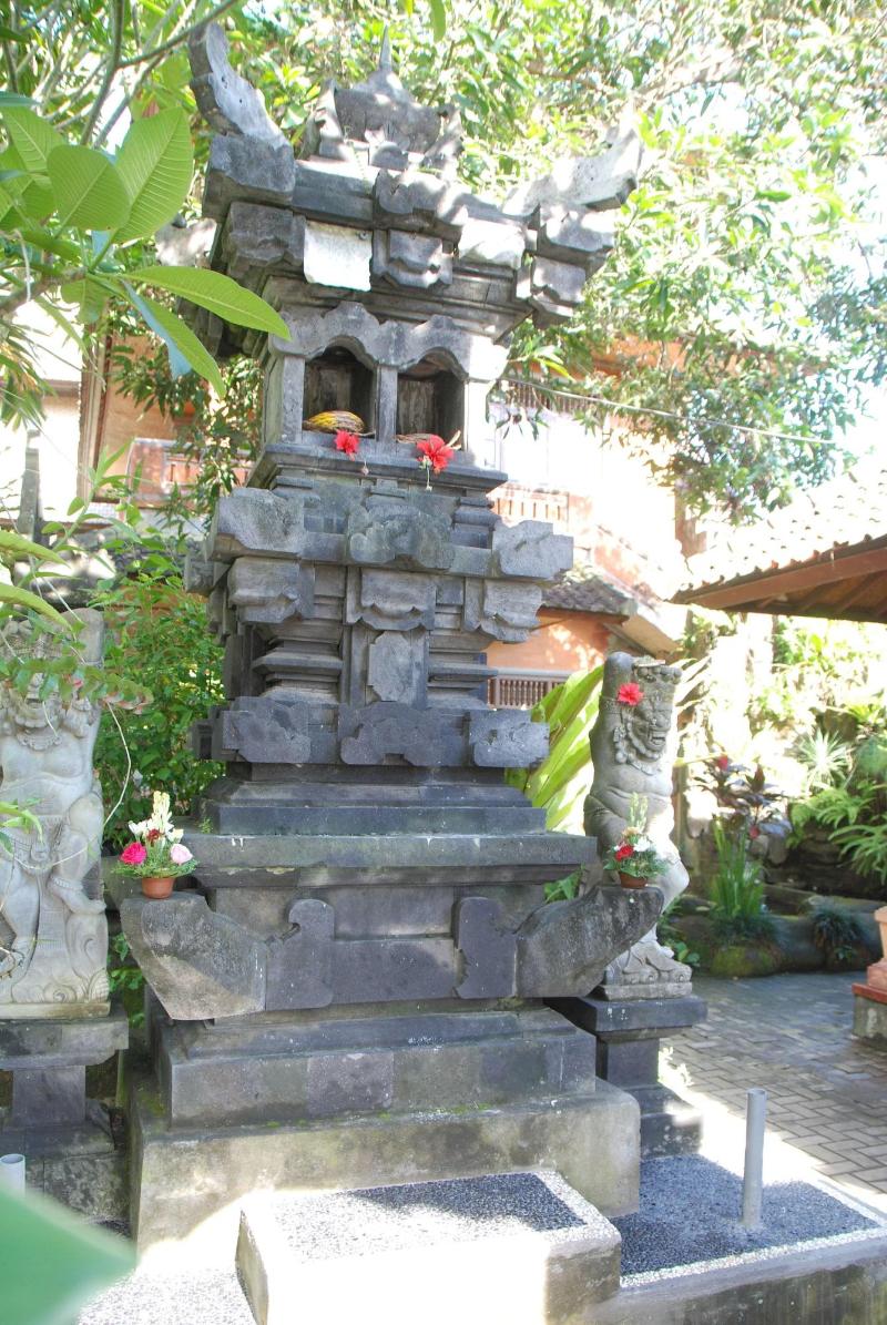 The Warji Bisma - Genel