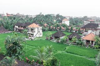 The Warji Bisma fotoÄŸrafÄ±