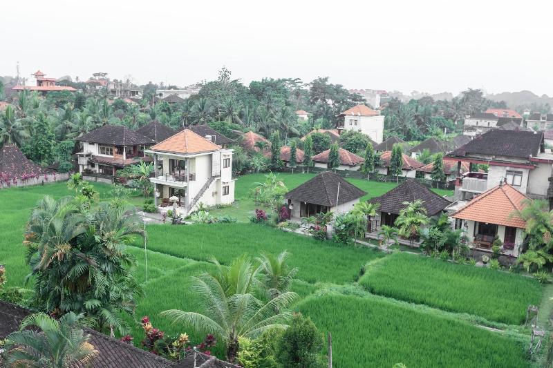 The Warji Bisma - Genel