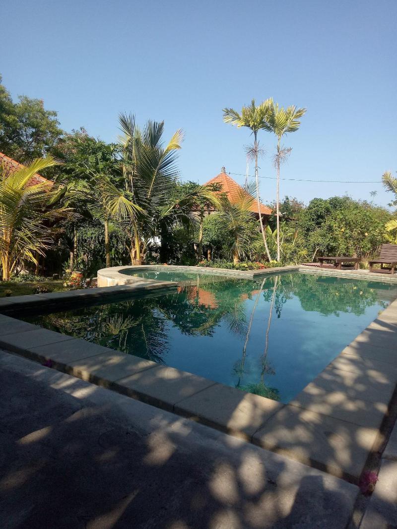 Pier26 Bali Homestay - Aktivite