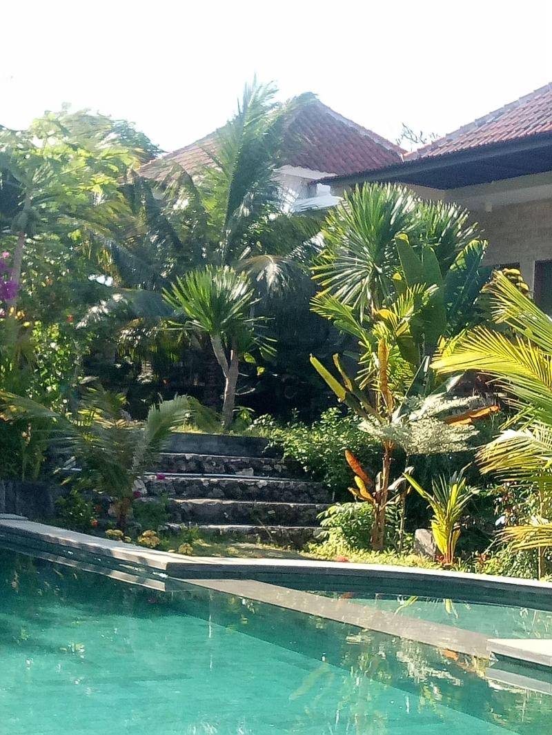 Pier26 Bali Homestay - Aktivite