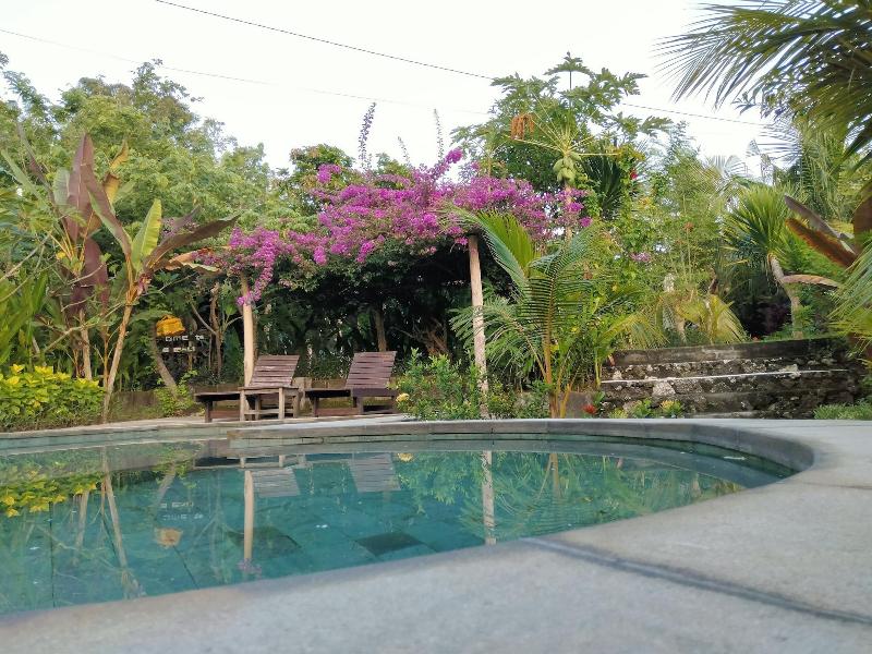 Pier26 Bali Homestay - Aktivite