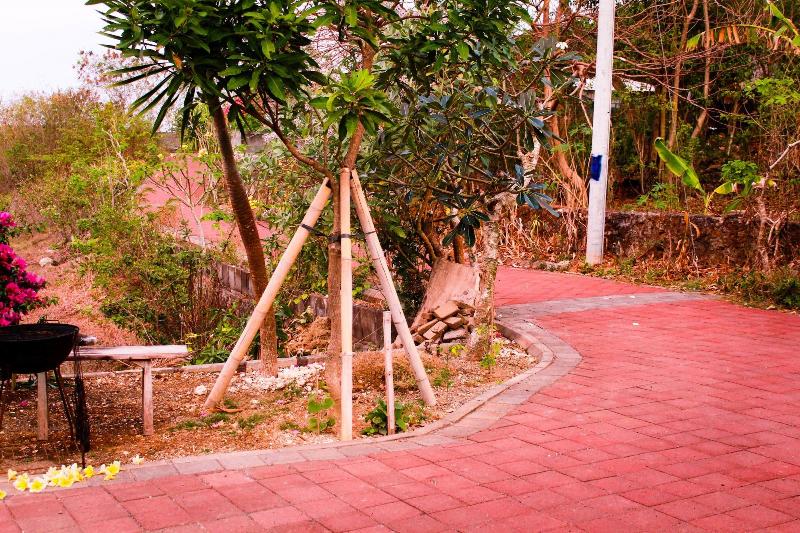 Pier26 Bali Homestay - Genel