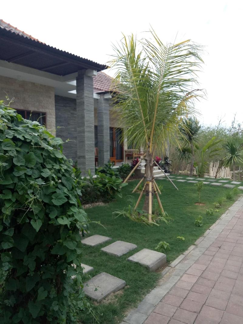 Pier26 Bali Homestay - Genel
