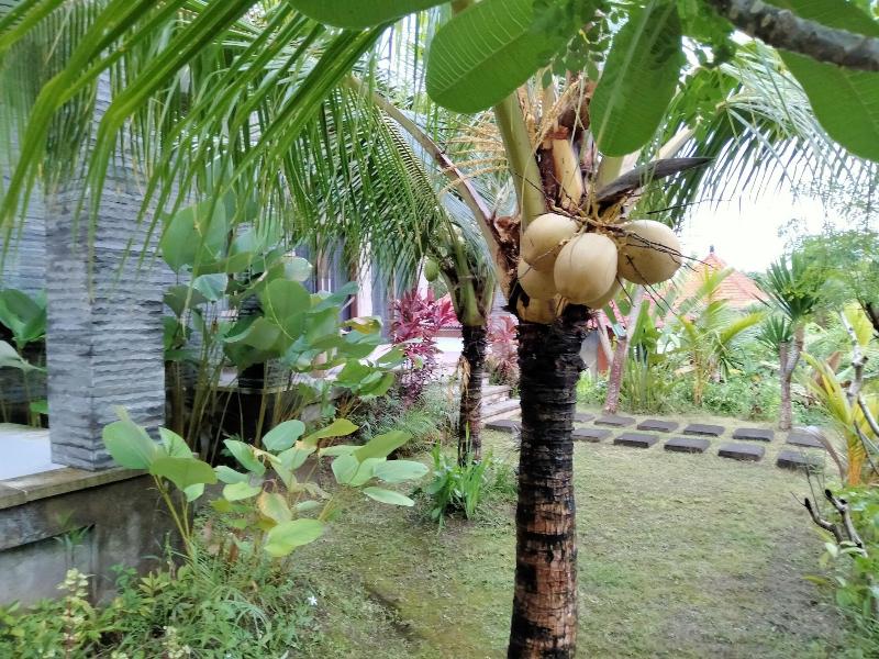 Pier26 Bali Homestay - Genel