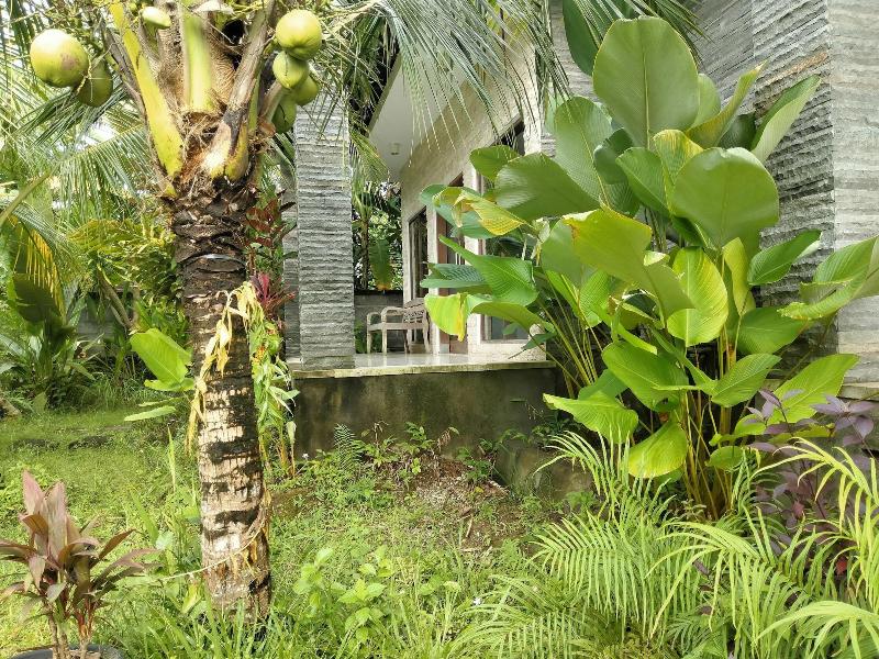 Pier26 Bali Homestay - Oda