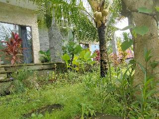 Pier26 Bali Homestay fotoÄŸrafÄ±