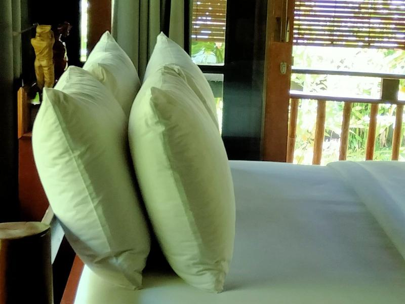 Pier26 Bali Homestay - Oda
