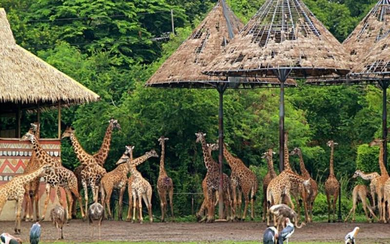 Ban Kru Ae Homestay - Genel