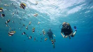Batuta Maldives Surf View fotoÄŸrafÄ±