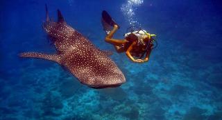 Batuta Maldives Surf View fotoÄŸrafÄ±