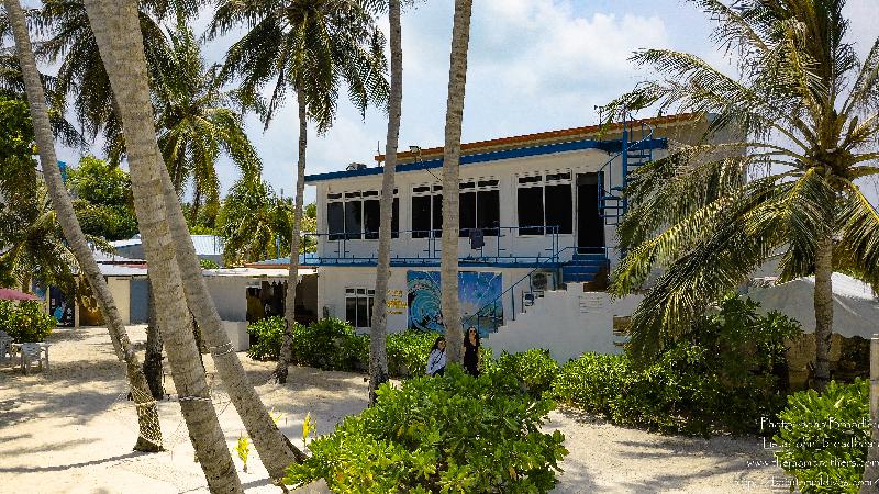 Batuta Maldives Surf View - Genel