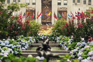 Renaissance New York Chelsea Hotel fotoÄŸrafÄ±