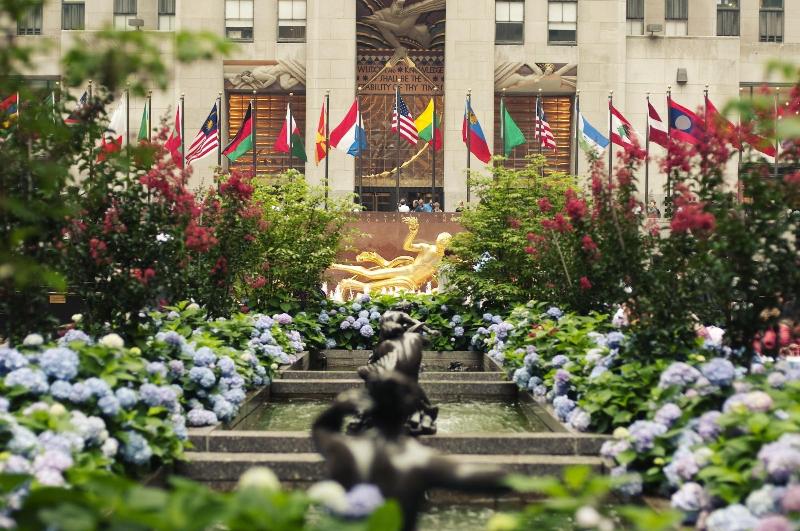 Renaissance New York Chelsea Hotel - Genel