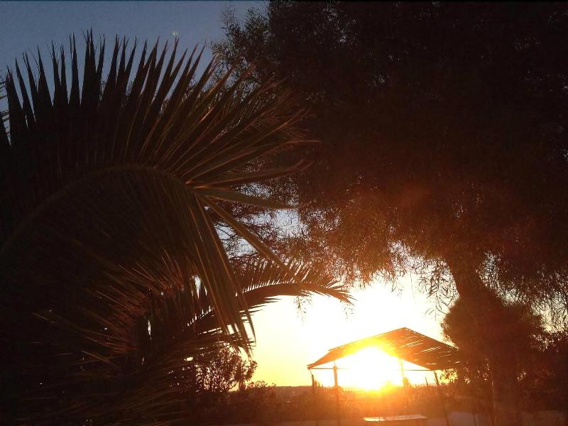 Hôtel Sidi Salem - Genel