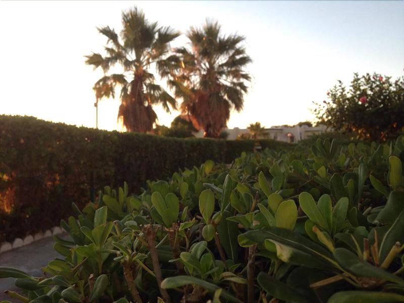 Hôtel Sidi Salem - Genel