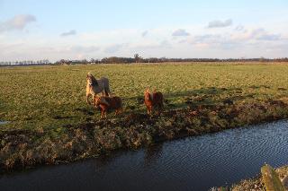 Van Der Valk Hotel Groningen Westerbroek fotoÄŸrafÄ±