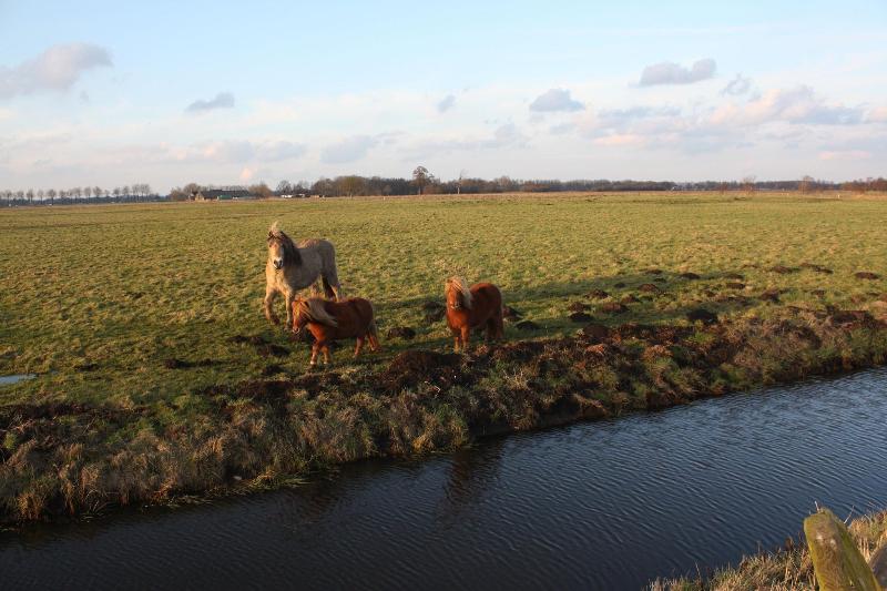 Van Der Valk Hotel Groningen Westerbroek - Genel