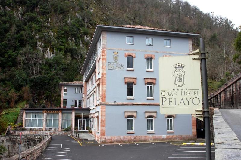 Arcea Gran Hotel Pelayo - Genel