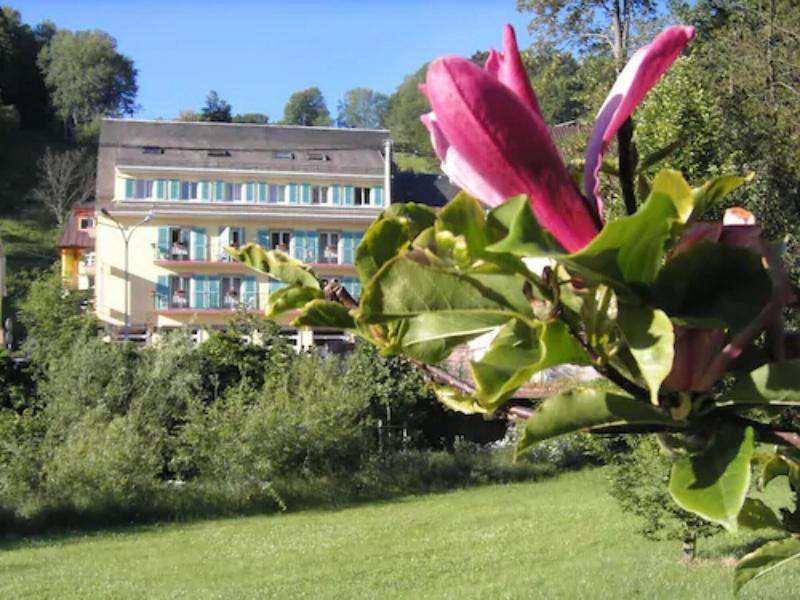 Hotel Restaurant Aux Bruyères - Genel