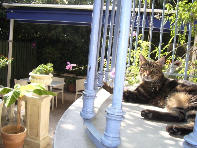 Hotel Villa St-Hubert - Genel