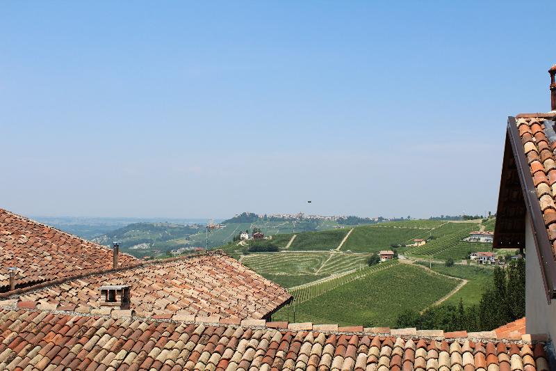 Grappolo d'Oro - Oda
