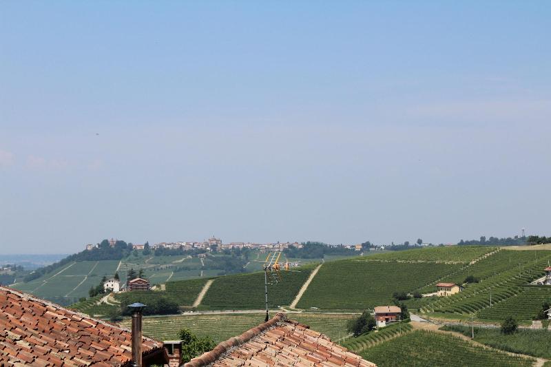 Grappolo d'Oro - Oda