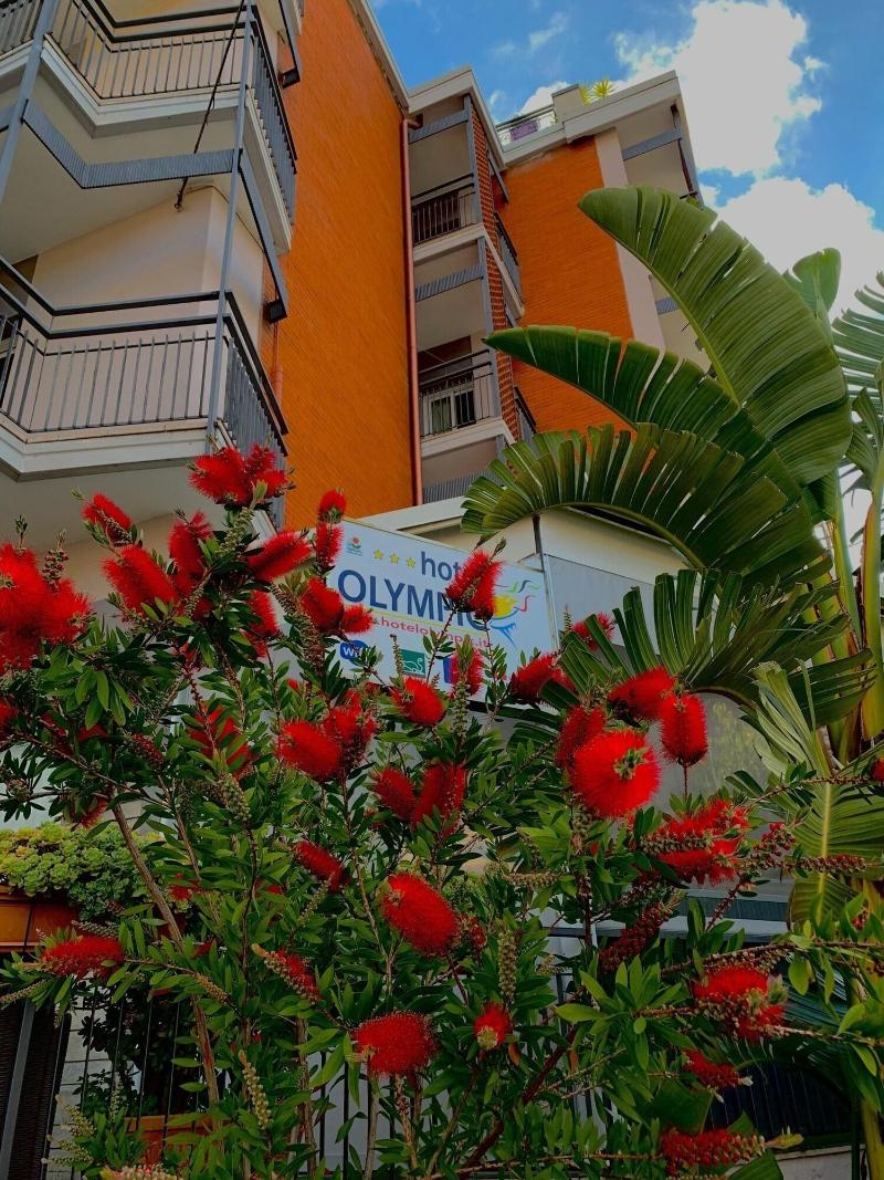 Hotel Olympic - Genel