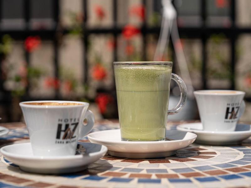 Hotel Zara Milano - Genel