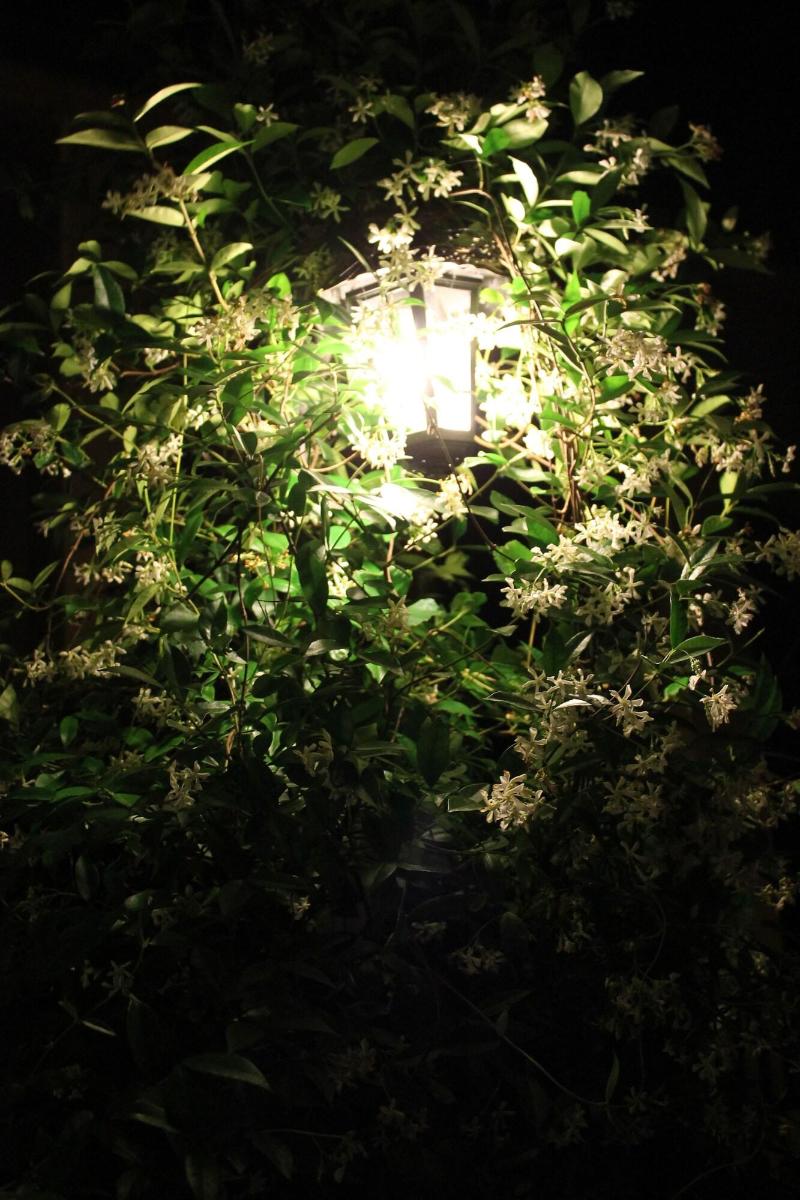 Hotel Centrale - Genel