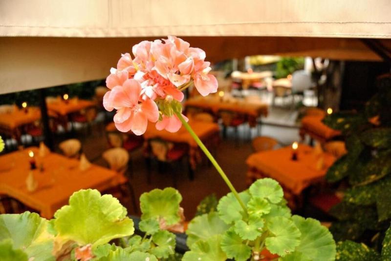 Hotel Ristorante Fiorentino - Restoran