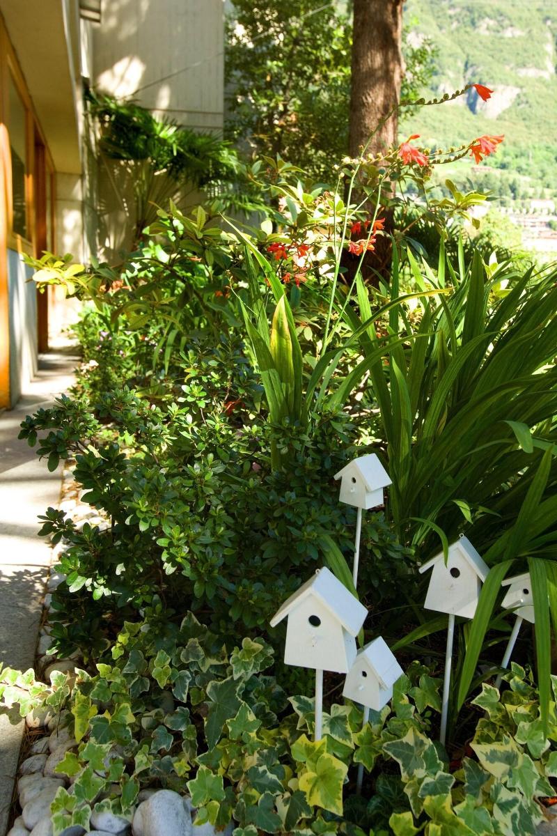 Albergo Sorriso - Genel