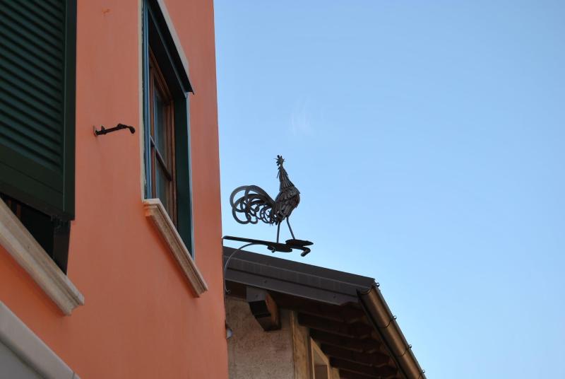 Gallo - Genel